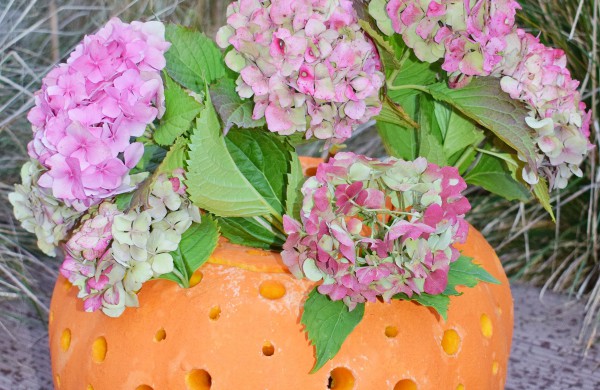 Jonavoje akcija-konkursas „Moliūgų terasa“ sulaukė rekordinio dalyvių skaičiaus