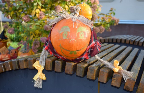 Jonavoje akcija-konkursas „Moliūgų terasa“ sulaukė rekordinio dalyvių skaičiaus