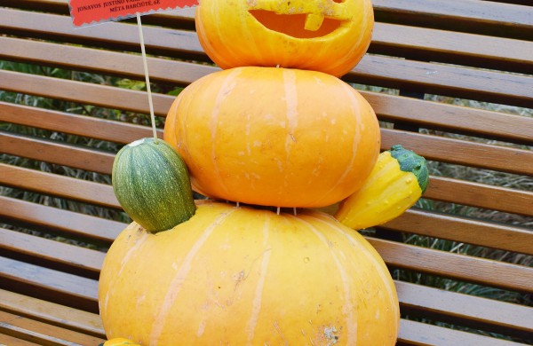 Jonavoje akcija-konkursas „Moliūgų terasa“ sulaukė rekordinio dalyvių skaičiaus