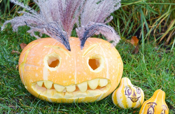 Jonavoje akcija-konkursas „Moliūgų terasa“ sulaukė rekordinio dalyvių skaičiaus