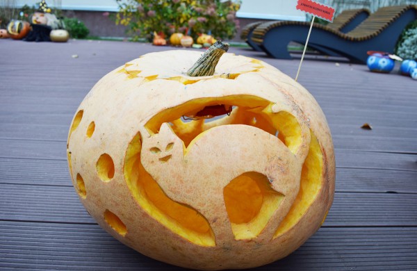 Jonavoje akcija-konkursas „Moliūgų terasa“ sulaukė rekordinio dalyvių skaičiaus