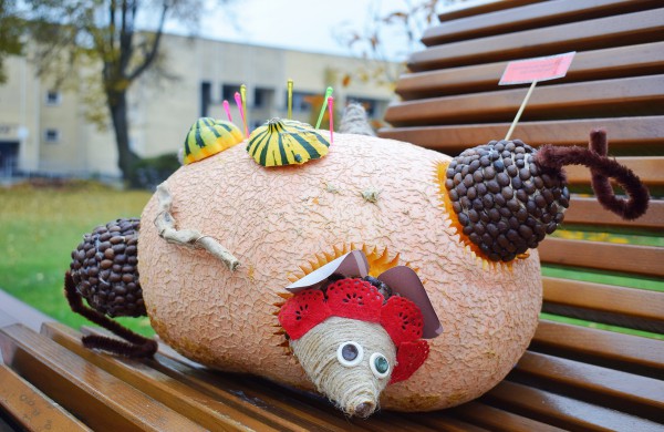 Jonavoje akcija-konkursas „Moliūgų terasa“ sulaukė rekordinio dalyvių skaičiaus