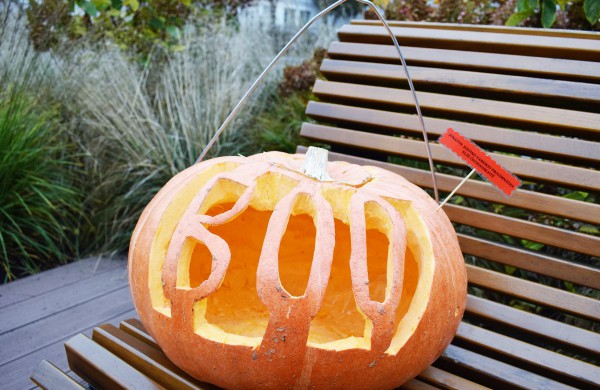 Jonavoje akcija-konkursas „Moliūgų terasa“ sulaukė rekordinio dalyvių skaičiaus