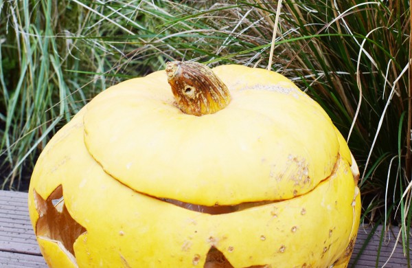 Jonavoje akcija-konkursas „Moliūgų terasa“ sulaukė rekordinio dalyvių skaičiaus