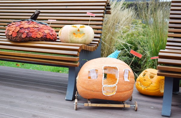 Jonavoje akcija-konkursas „Moliūgų terasa“ sulaukė rekordinio dalyvių skaičiaus