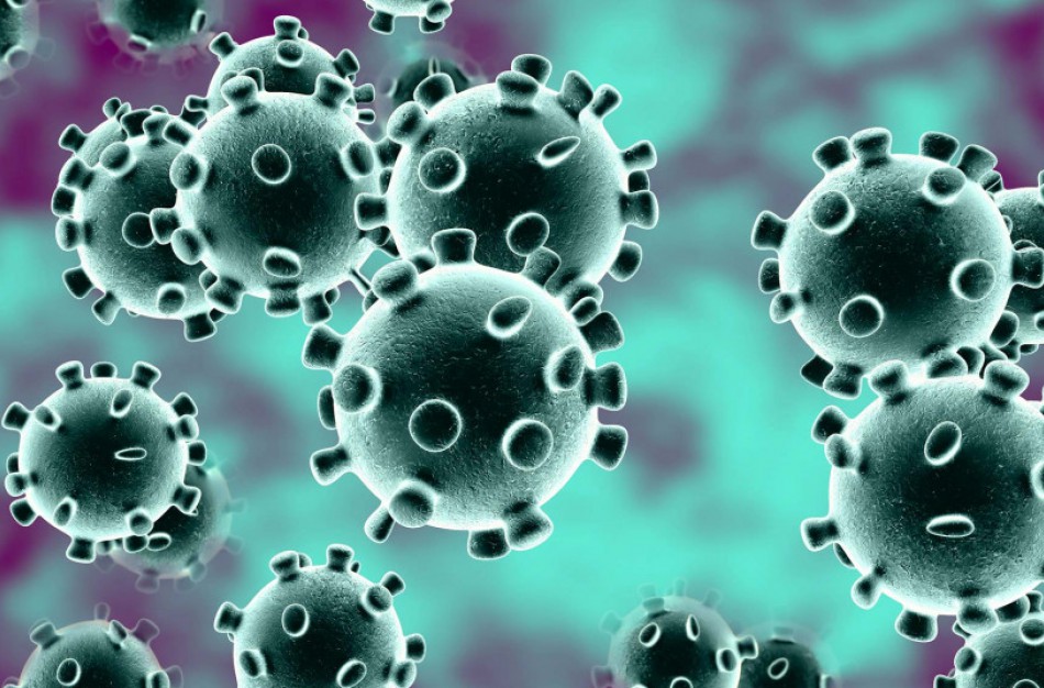 Lijana apie situaciją Achemoje: Panašu, kad NVSC pametė galus