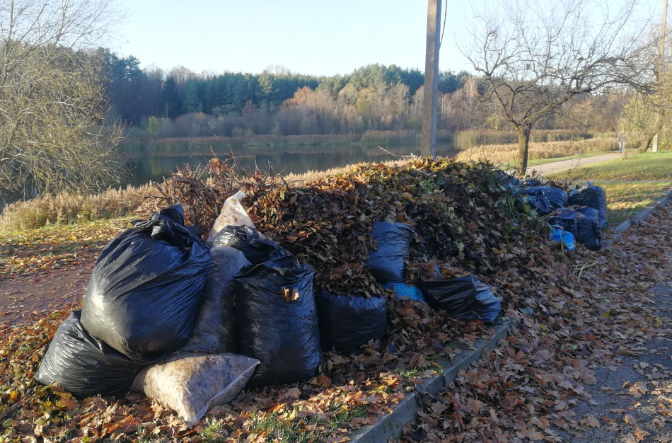 Veriasi sena piktžaizdė – privačių sklypų žaliosios atliekos nugula viešose vietose