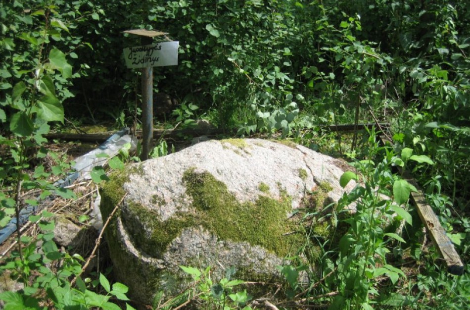 Šalyje baigti inventorizuoti juodligės taršos židiniai