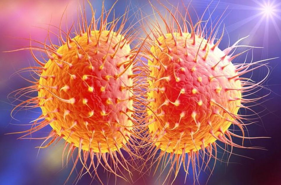 PSO perspėja dėl vaistams atsparios gonorėjos pasekmių