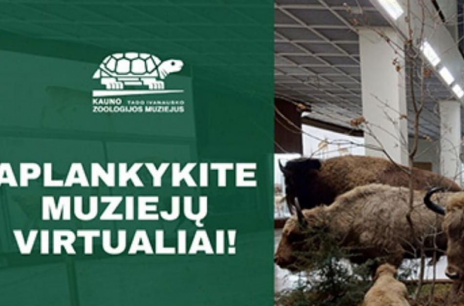 Per karantiną – nemokamos virtualios ekskursijos ir edukacijos