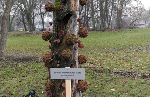 Darbai pačiame įkarštyje – aiškėja, kaip pasipuoš miesto eglė ir naujas tiltas