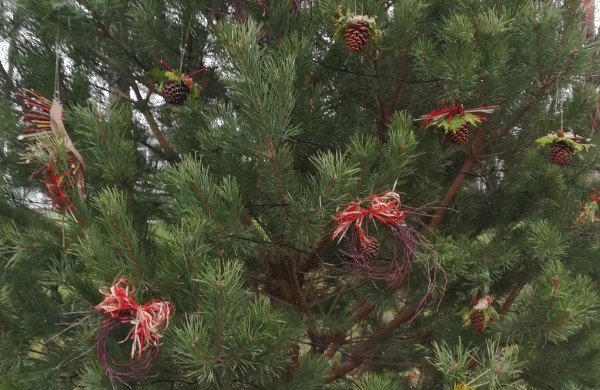 Darbai pačiame įkarštyje – aiškėja, kaip pasipuoš miesto eglė ir naujas tiltas