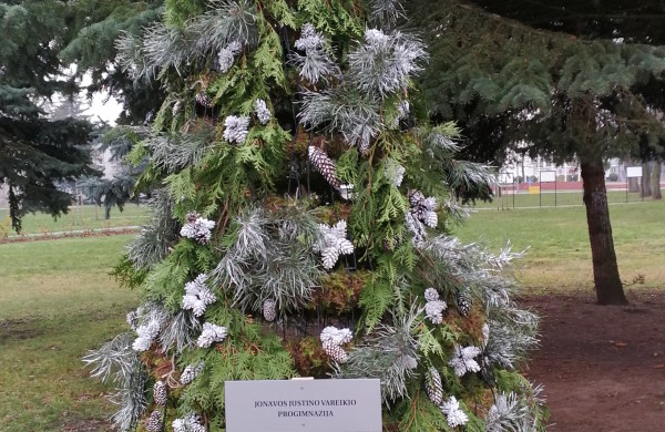 Darbai pačiame įkarštyje – aiškėja, kaip pasipuoš miesto eglė ir naujas tiltas