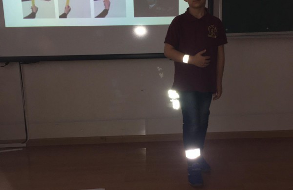 Virtualios saugaus eismo pamokėlės