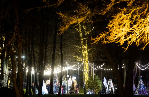 Jonava uždegė Kalėdas: įžiebta miesto eglė ir eglučių miestelis