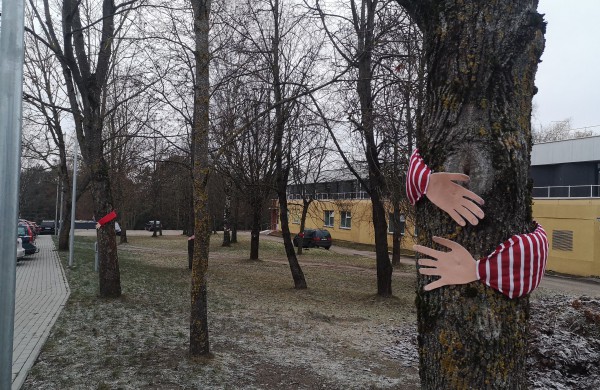 Tarptautinę neįgalių žmonių dieną – šiltas apkabinimas per nuotolį