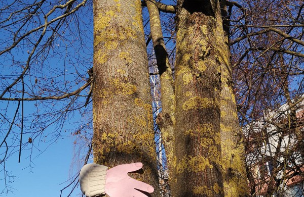 Tarptautinę neįgalių žmonių dieną – šiltas apkabinimas per nuotolį