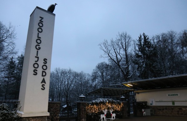 Lietuvos zoologijos sode gyvūnams pradedamos dalinti Kalėdinės dovanos