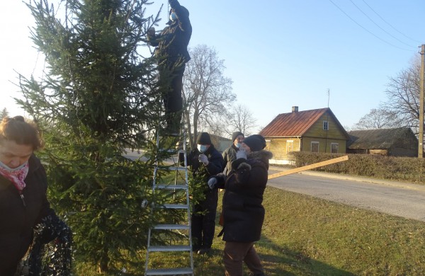Kažkam panižo rankos: Panoteriuose suniokota Kalėdinė eglutė