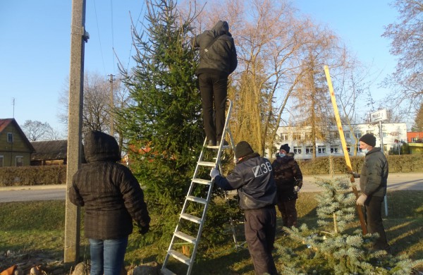 Kažkam panižo rankos: Panoteriuose suniokota Kalėdinė eglutė