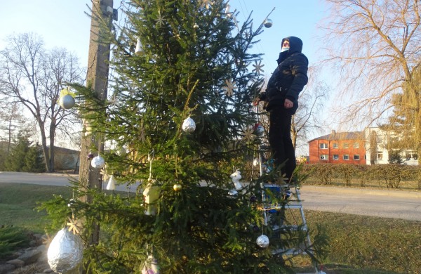Kažkam panižo rankos: Panoteriuose suniokota Kalėdinė eglutė