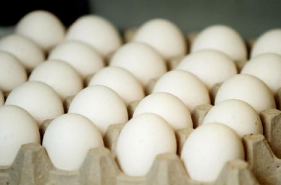  „Lidl“ turės sunaikinti 38,4 tūkst. pakuočių vištų kiaušinių