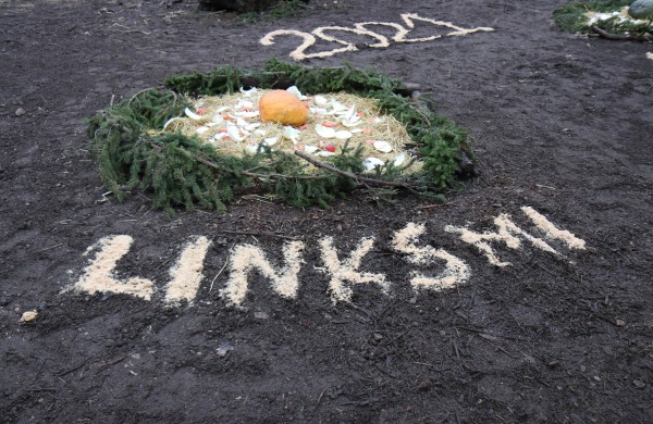 Stumbrų šeima pranašauja 2021-ųjų jaučio metų sėkmę