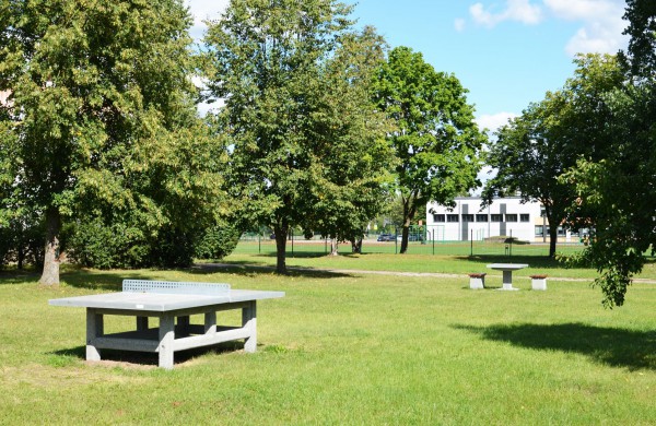 Auginant kitą – praaugti save