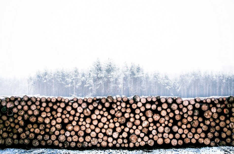 Būtina gauti leidimą medienos sandėliavimui ir krovimui šalia valstybinės reikšmės kelių