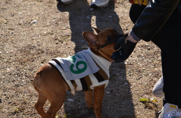Jonavoje antrasis labdaringas bėgimas „Man rūpi“ abejingų nepaliko