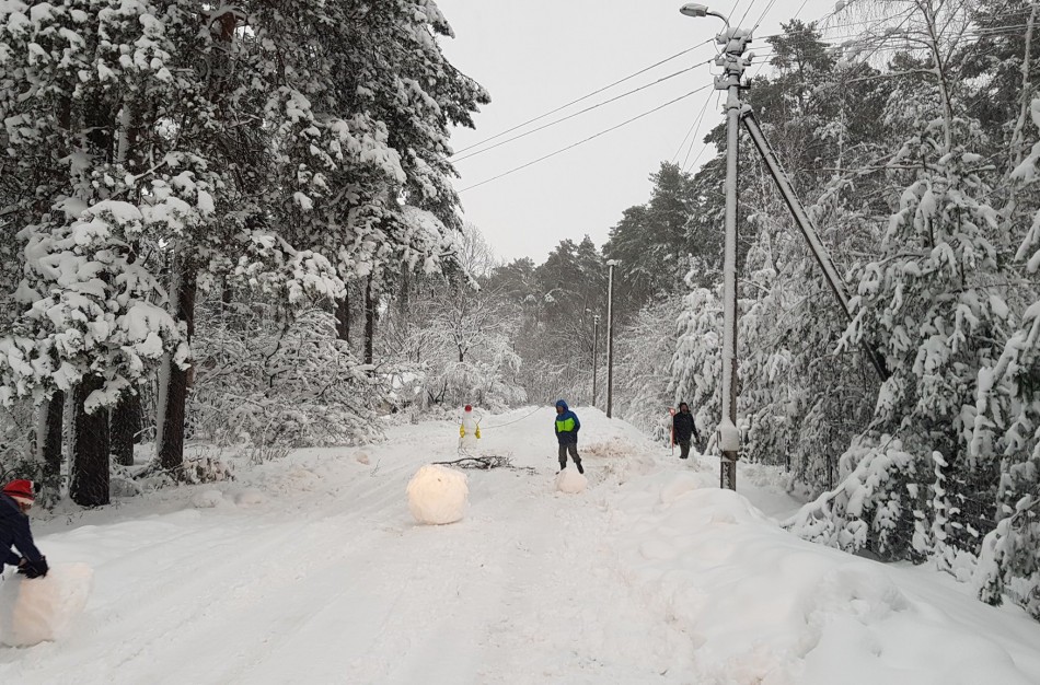 Besmegenių statytojai išaiškinti: mama pametėjo mintį, vaikai - nulipdė