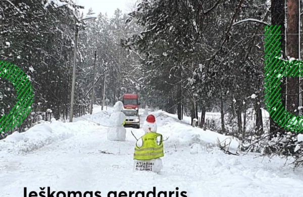 Besmegenių statytojai išaiškinti: mama pametėjo mintį, vaikai - nulipdė