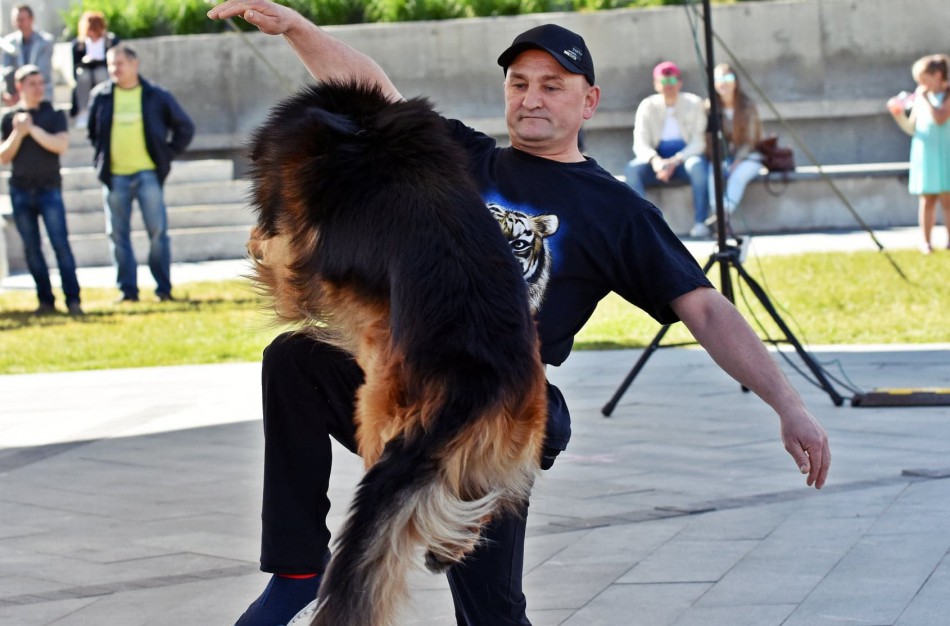 „Transachemos“ darbuotojui paklūsta net aršiausi šunys