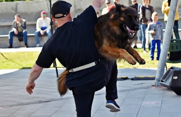 „Transachemos“ darbuotojui paklūsta net aršiausi šunys