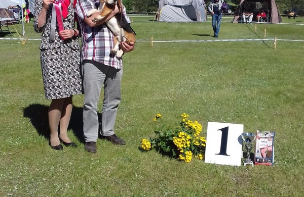 „Transachemos“ darbuotojui paklūsta net aršiausi šunys