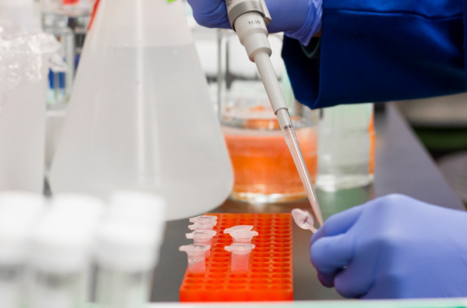 Jonavoje pradedami testuoti mokytojai