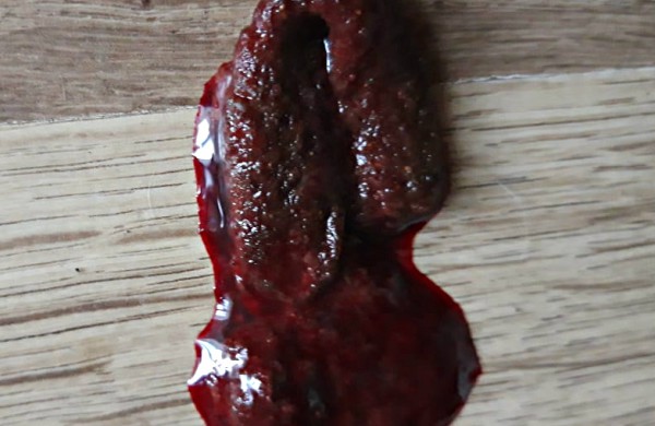 Teismo sprendimas pribloškė gyvūnų mylėtojus: nutarta skirti piniginę baudą, o šunis gražinti daugintojai 