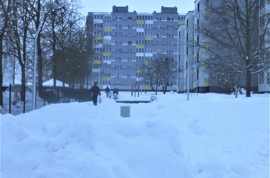 Iš kai kurių vietų pradedamas išvežinėti perteklinis sniegas