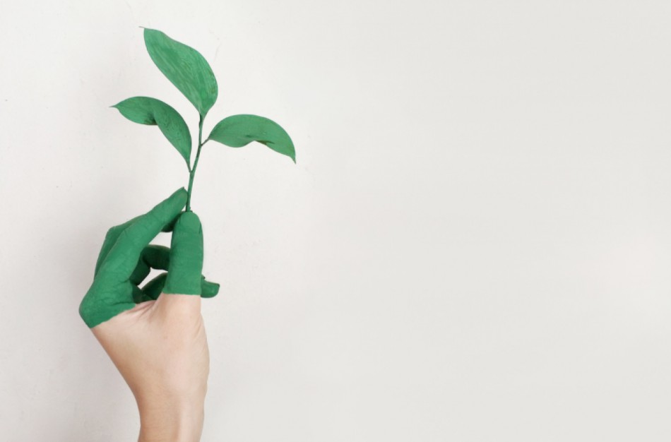 ES valstybių tyrimas parodė, kad beveik pusė žaliųjų teiginių nepagrįsti 