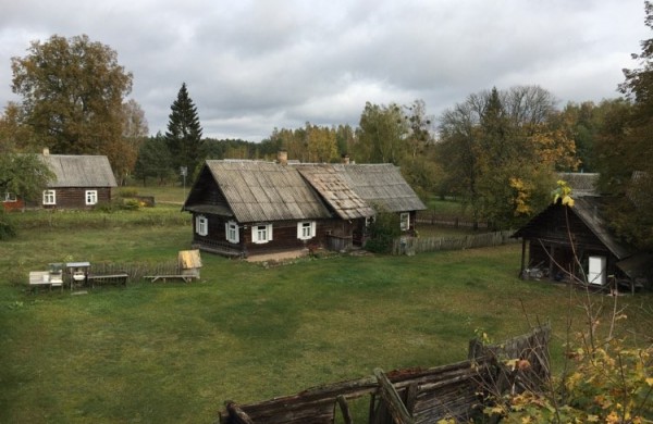 Artėjant Valentino dienai – virtualus kino kelialapis pasimatymams namuose