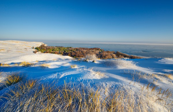 Artėjant Valentino dienai – virtualus kino kelialapis pasimatymams namuose