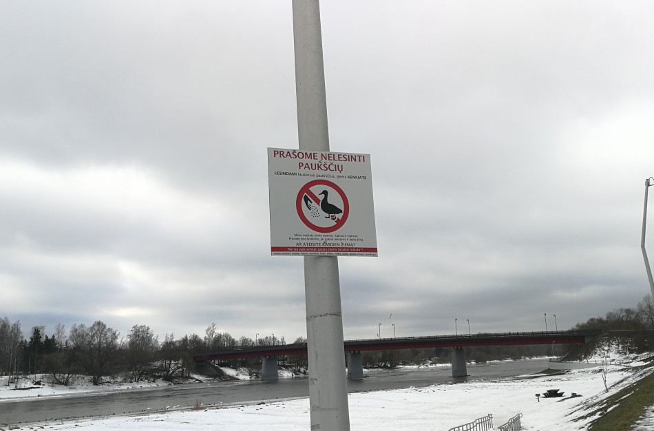 Jonaviečiai raginami nelesinti paukščių: „Ar ateisite kasdien žiemą?“