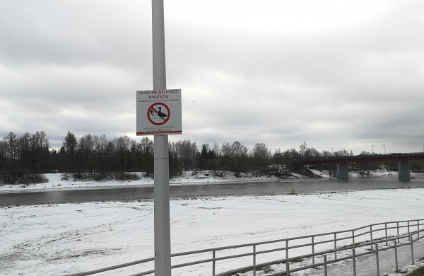 Jonaviečiai raginami nelesinti paukščių: „Ar ateisite kasdien žiemą?“