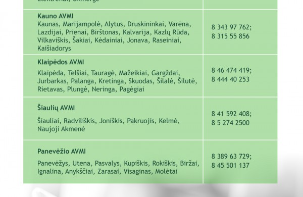 Deklaruoti turtą ir pajamas šiais metais gyventojai pradeda anksčiau – tam skirti net du mėnesiai   