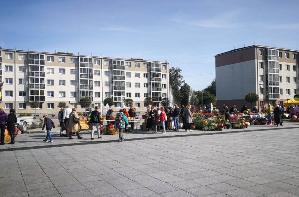 Skelbiamas visuomeninių organizacijų projektinio finansavimo konkursas