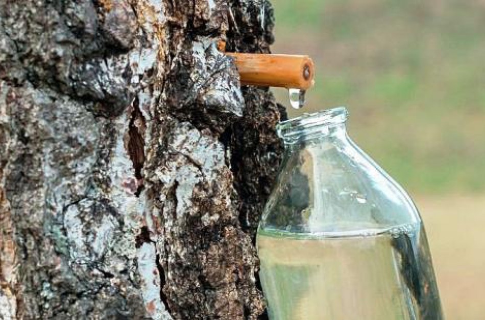 Keli dalykai, kurių svarbu nepamiršti mėgstantiems sulą