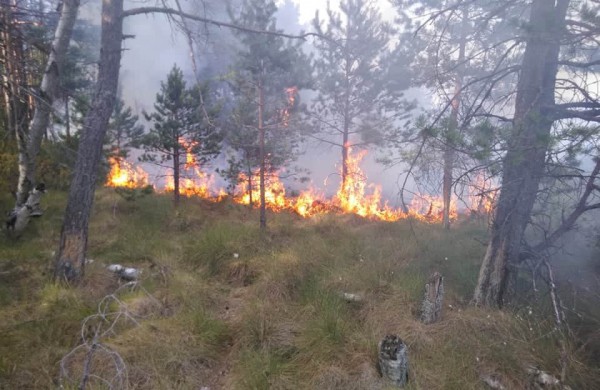 Valstybinių miškų urėdija įspėja gyventojus: pavasarį prasideda gaisrams palankus laikotarpis