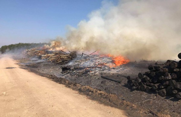 Valstybinių miškų urėdija įspėja gyventojus: pavasarį prasideda gaisrams palankus laikotarpis