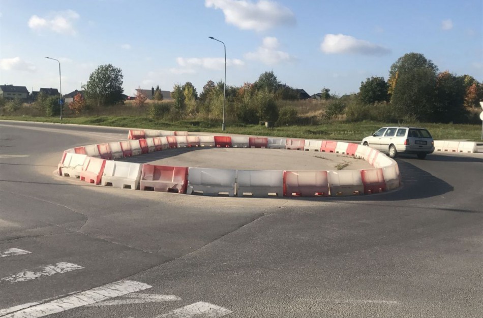 Legendinis „laikinasis“ žiedas jau šiemet taps Lietuvoje dar nematyta žiedine sankryža 