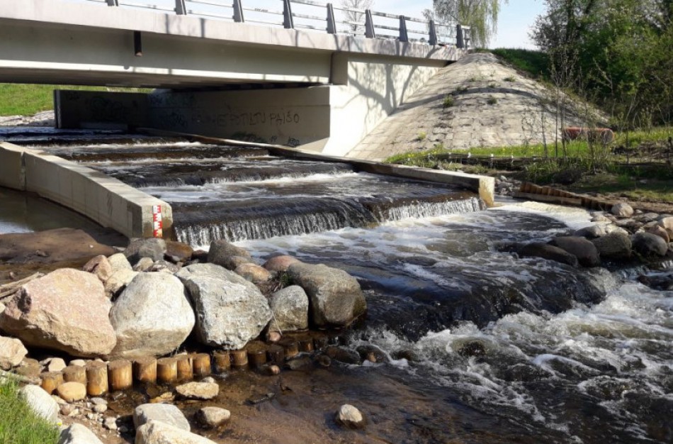 Nuo balandžio pirmosios privalu užtikrinti sąlygas žuvims neršti ir migruoti